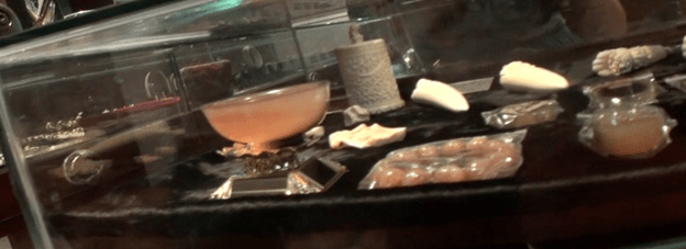 Wishful thinking and Rhino&nbsp;Conservation