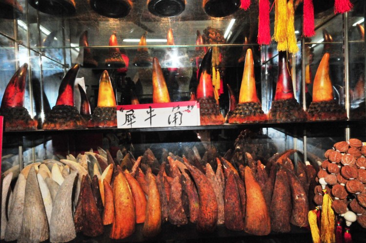 On the trail of Asia’s shifting rhino-horn&nbsp;market