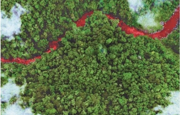 Mediawan Rights Fast-Tracks Dedicated Doc Unit, Scores Key Deals on ‘Green Blood,’ ‘Tiger Mafia’&nbsp;(EXCLUSIVE)