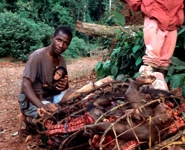 INDEPENDENT PRO BONO LEGAL ANALYSIS OF THE ILLEGAL TRADE IN GREAT APES FROM AFRICA AND SYRIA TO CHINA SINCE&nbsp;2007