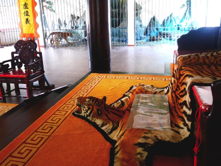 The Tiger Mafia is now on Amazon – presently only in&nbsp;Europe